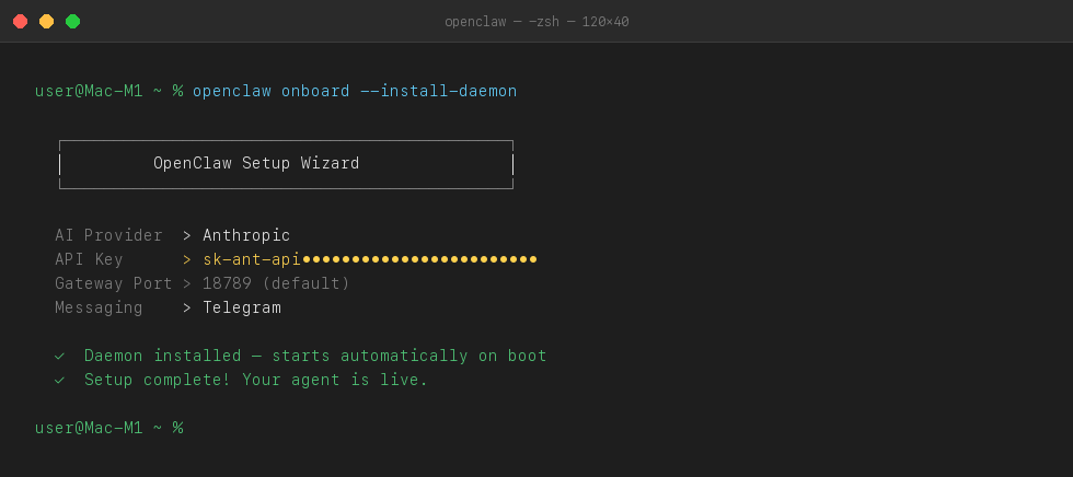 OpenClaw onboarding setup — API key and messaging app configuration